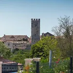 Laurentii